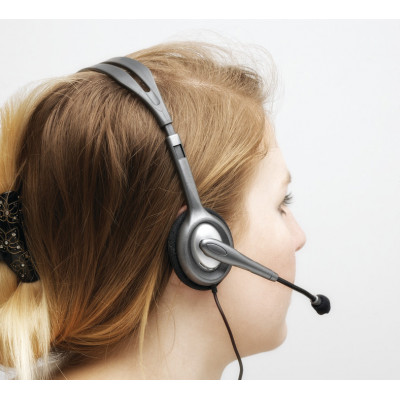 LOGITECH H111 Stereo Headset