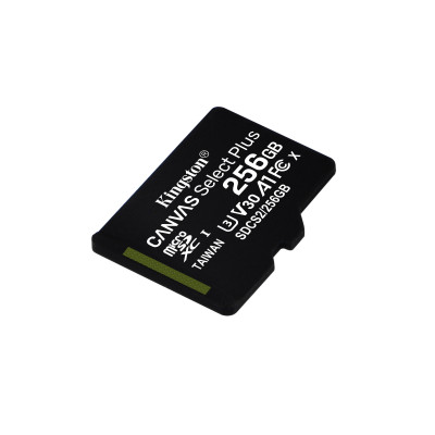 256GB KINGSTON UHS-I microSDXC + SD Adapter