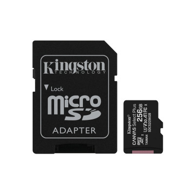 256GB KINGSTON UHS-I microSDXC + SD Adapter
