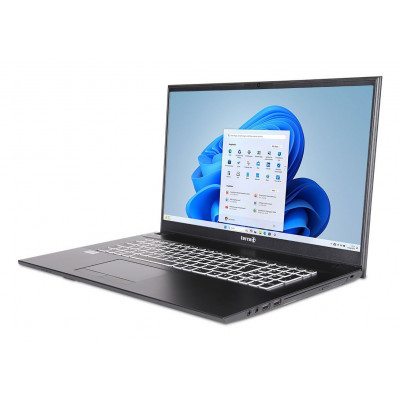 17,3" MOBILE 1716R i5-1334U 16GB 500GB W11